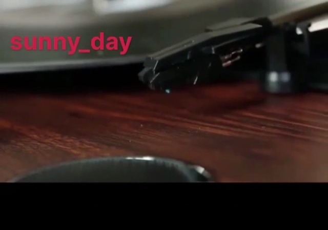 Amazon.com: New Turntable Cartridge Replacement Stylus For